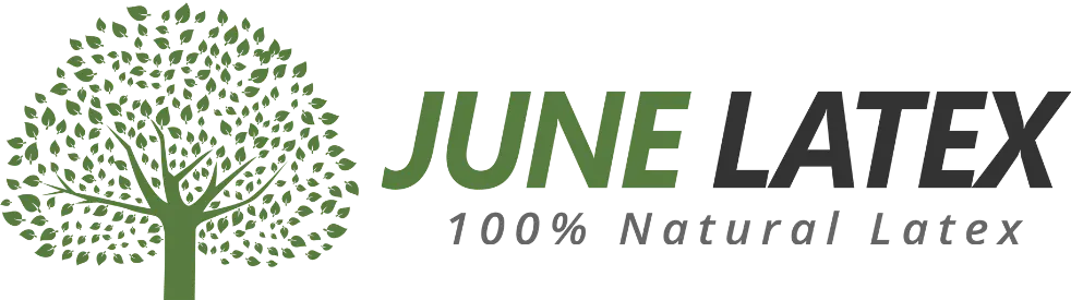 June Latex Logo